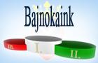 Bajnokaink - 2013